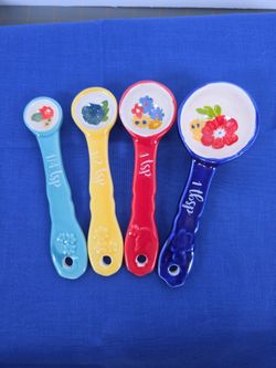 EUC The Pioneer Woman Dazzling Dahlias Ceramic 4 Piece Measuring Spoons Set HTF