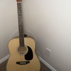Beginner Acoustic Guitar 