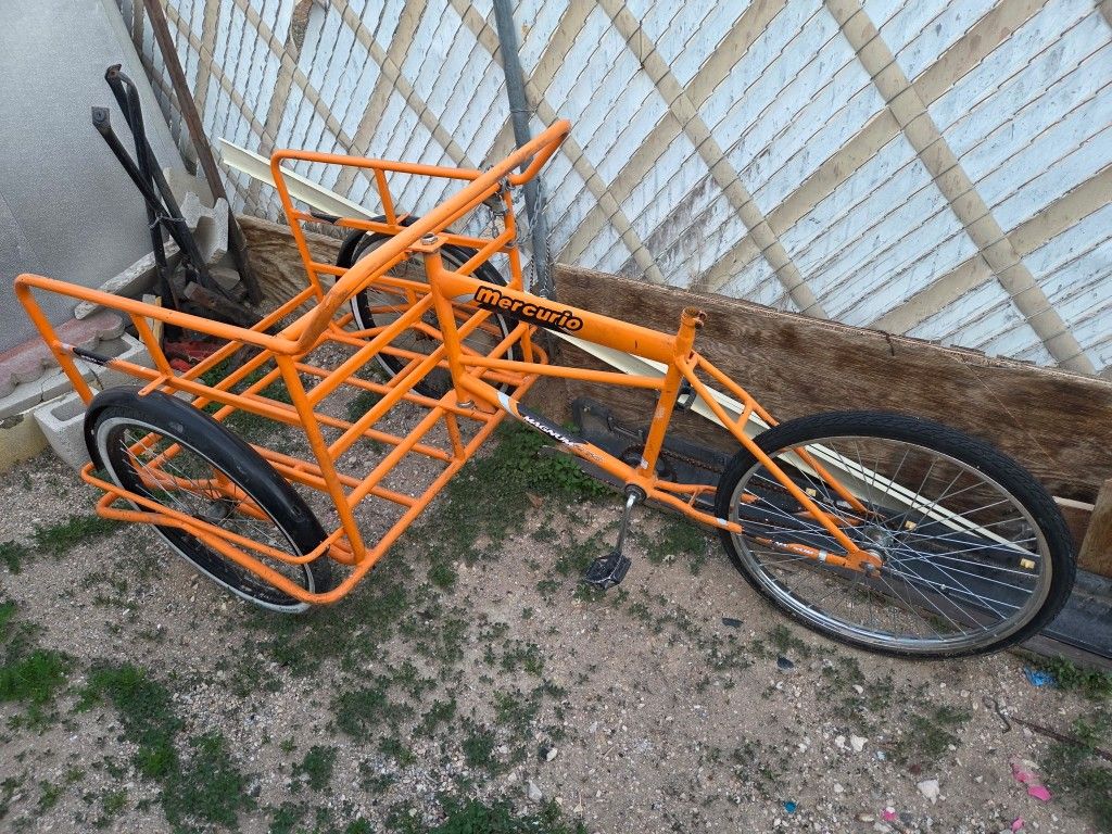 Mercurio 26 Inch Bike