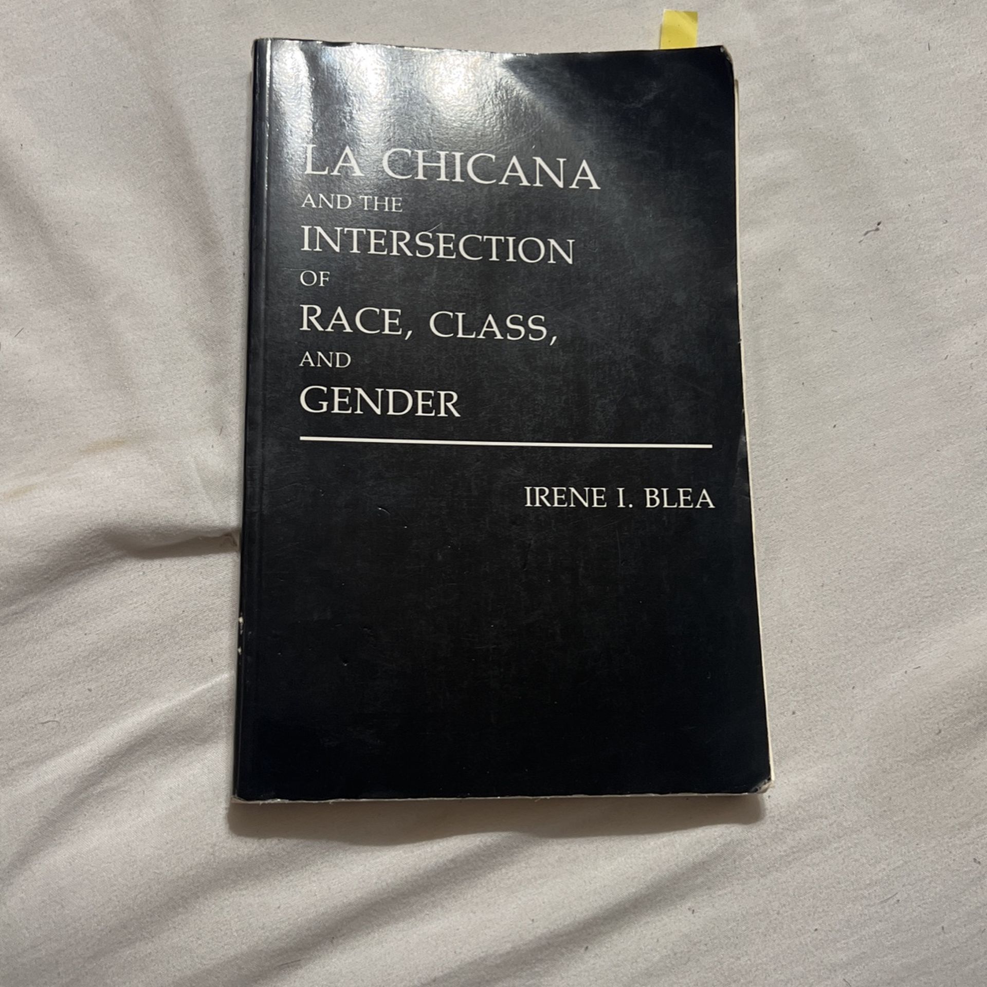 La Chicana And The Intersection Of Race Class And Gender Book