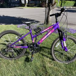 Nishiki 20” Girls Bike