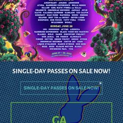 Beyond Wonderland 