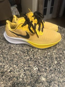 Nike Pegasus running shoes new