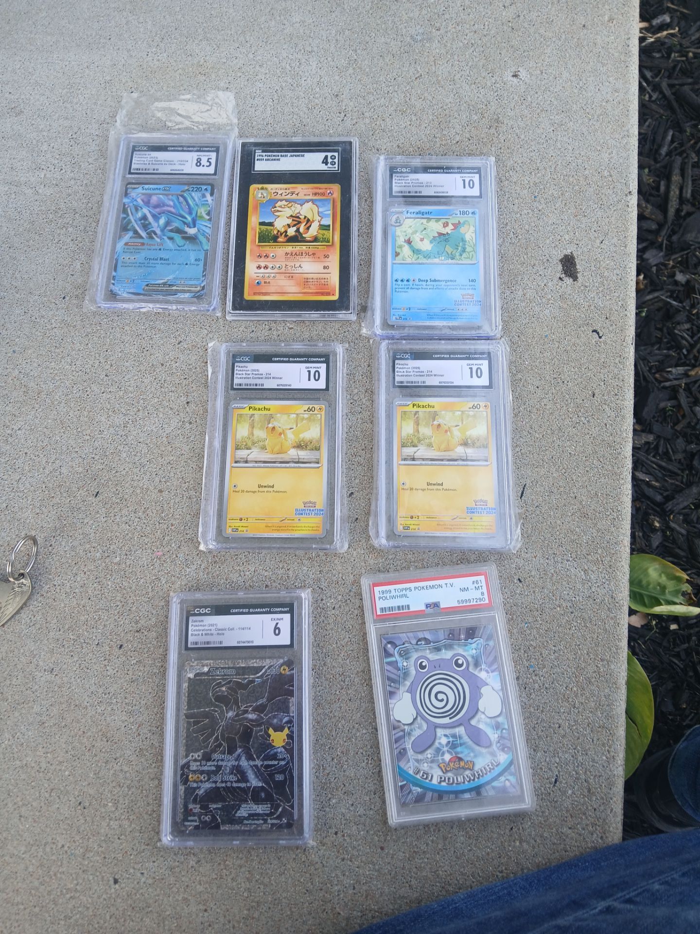 Graded Pokémon cards