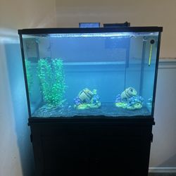 37 Gallon Tank &stand