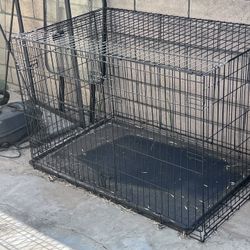 Dog Kennel 