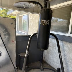 Everest Punching Bag 