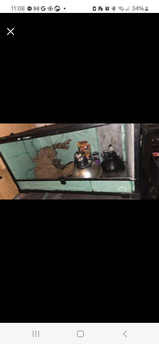 50 Gallon Terrarium, Foam Insulated