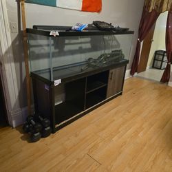 150 Gallon Fish Tank