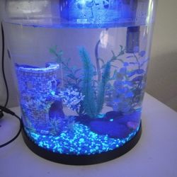 3.5 Gallon Fish Tank/Aquarium with Accessories 