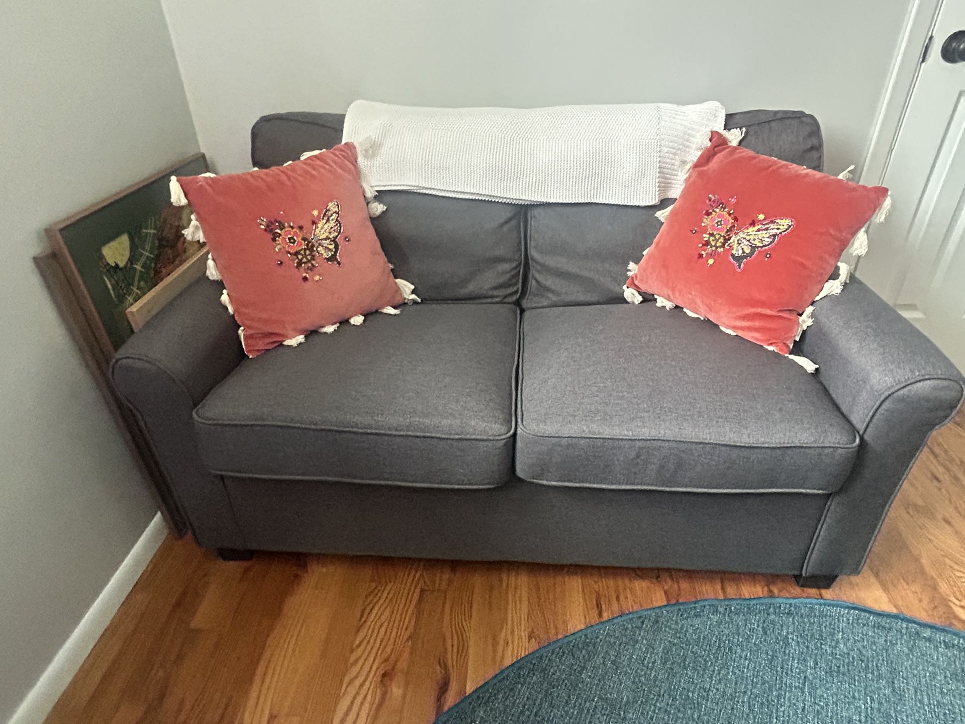 Pull Out Couch (small)