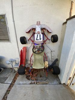 Professional Gokart