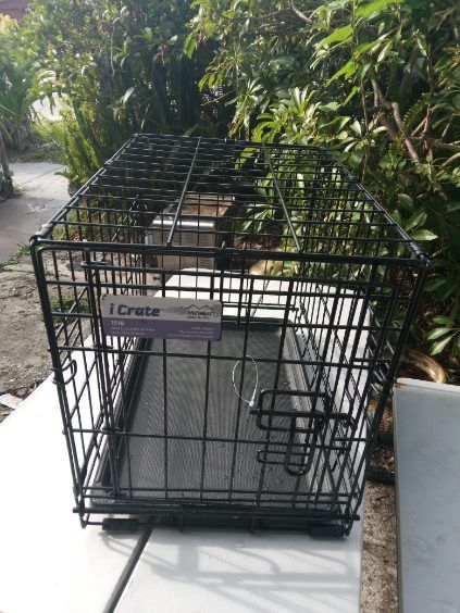 MidWest iCrate Fold & Carry Single Door Collapsible Wire Dog Crate,