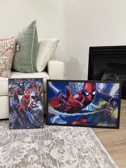 Spiderman Picture Home Decor