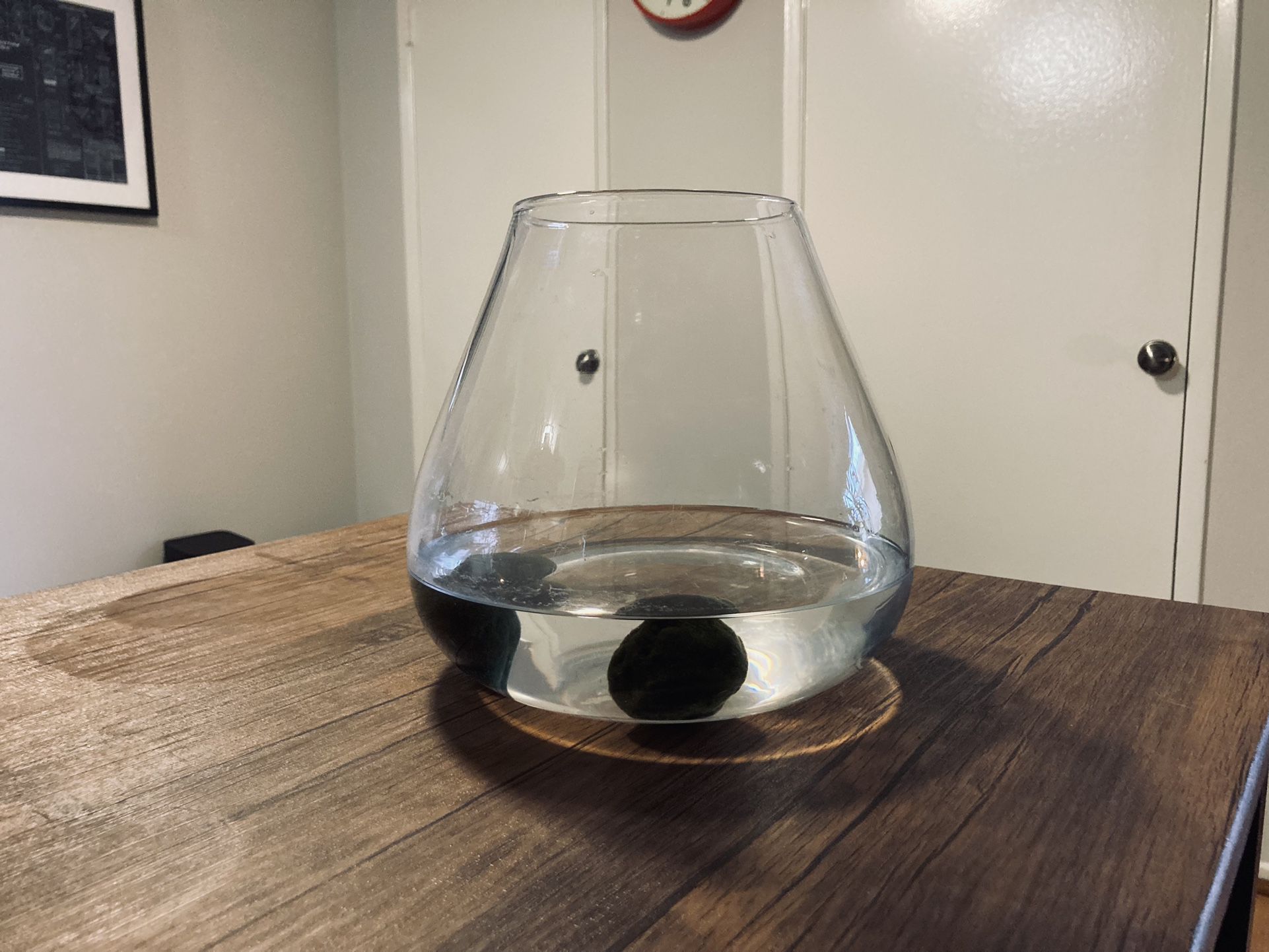 Crate Barrel Tear Drop Glass Vase