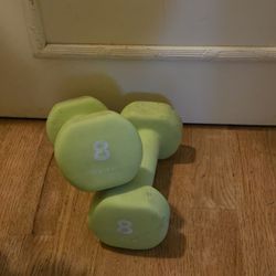 8lb dumbelle pair