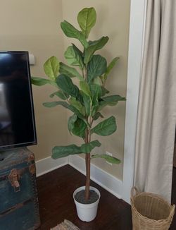 Faux Fiddle Leaf Fig