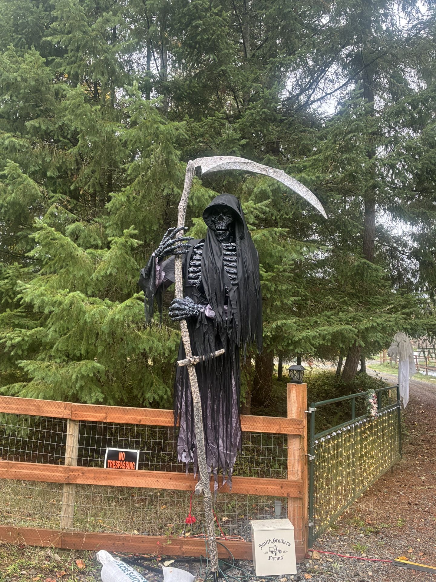 Halloween Decorations 