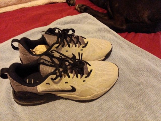 Nike Air Max Alpha Trainer5