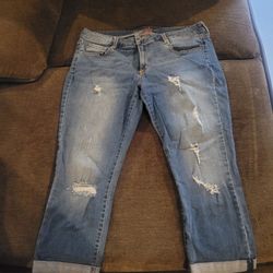 Capris