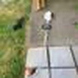 STIHL FC 56 C-E Gas Lawn Edger – Runs Great