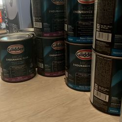 Glidden HIGH Endurance Plus 