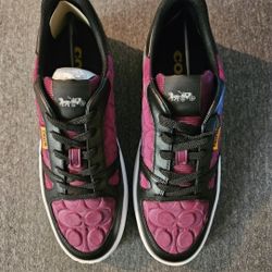 Coach Shoes 
