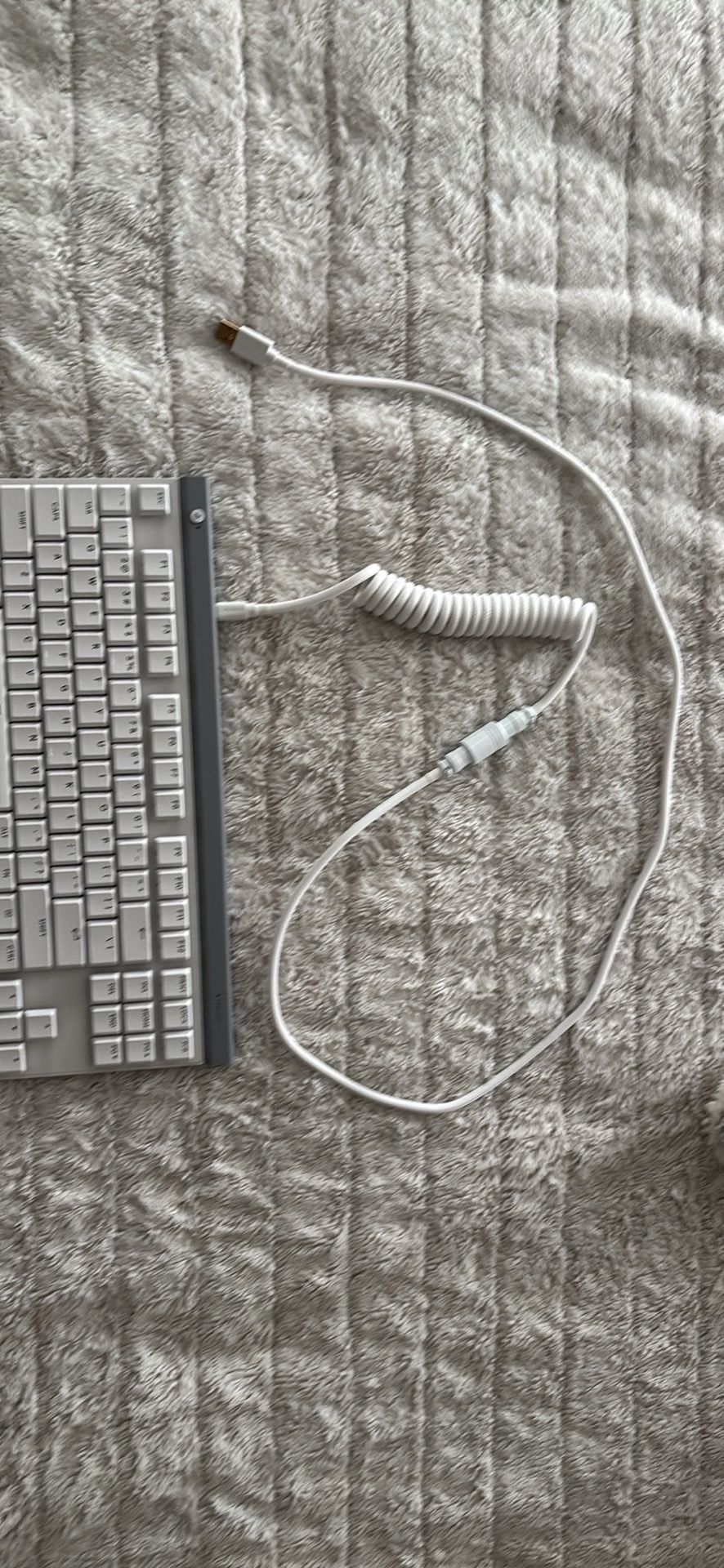 Mechanical Keyboard w/ Custom Coiled USB-C Cable – Great Condition
