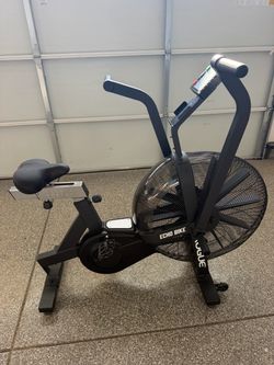 Rogue Echo Bike V2.0