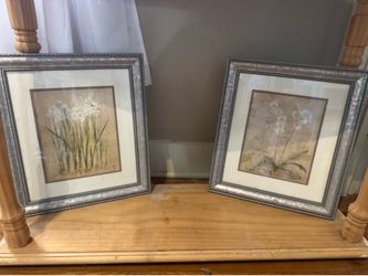 2 Floral Art Prints in Frames