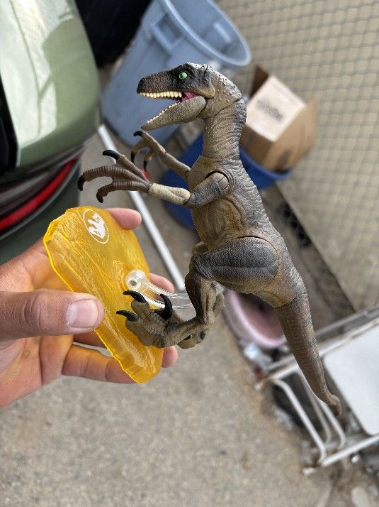 Jurassic Park Raptor