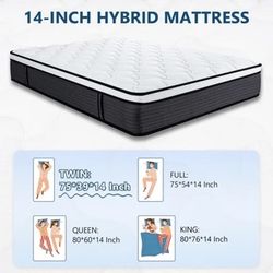 Twin Mattress, Queen Rose 14 inch Hybrid Medium Firm Adult Mattress with Memory Foam in a Box, with Individually Pocket