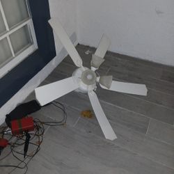 Ceiling Fan