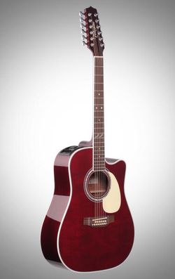 Takamine John Jorgensen 12 string