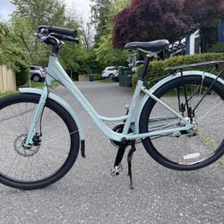 Brodie Pax Cruiser 