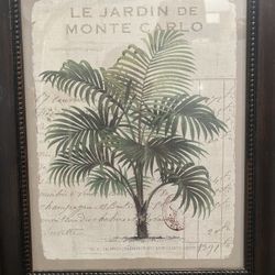 Palm Poster Picture  15x18