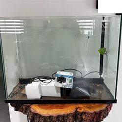 37 Gallon Aquarium