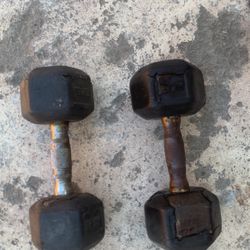 25lb Dumbbells 