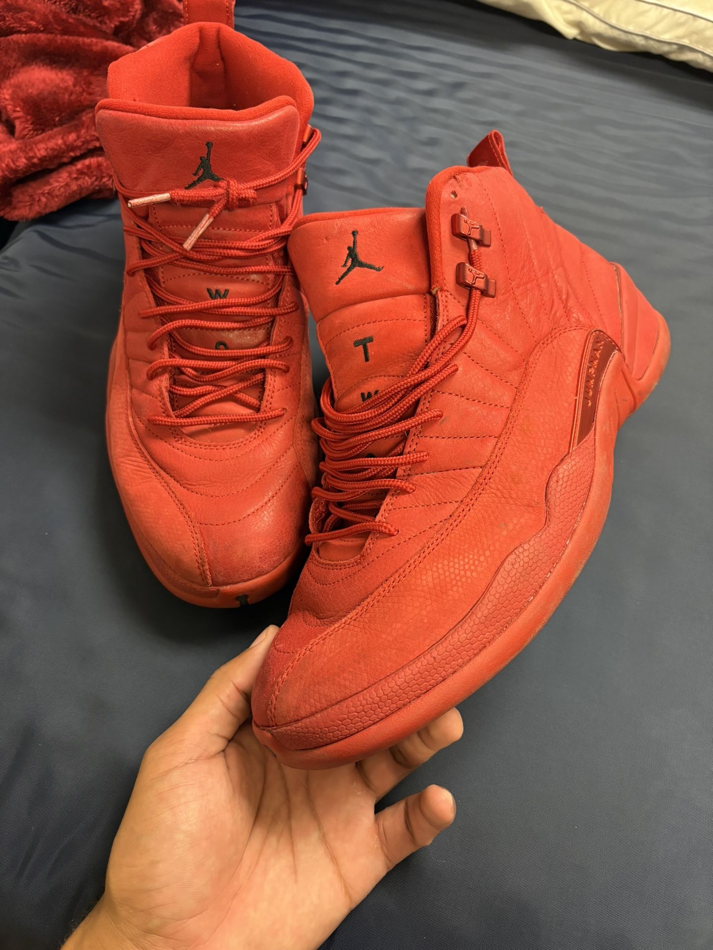 Jordan 12 “Flu Game”
