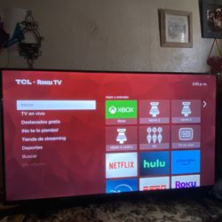 55 Inch Roku Tv