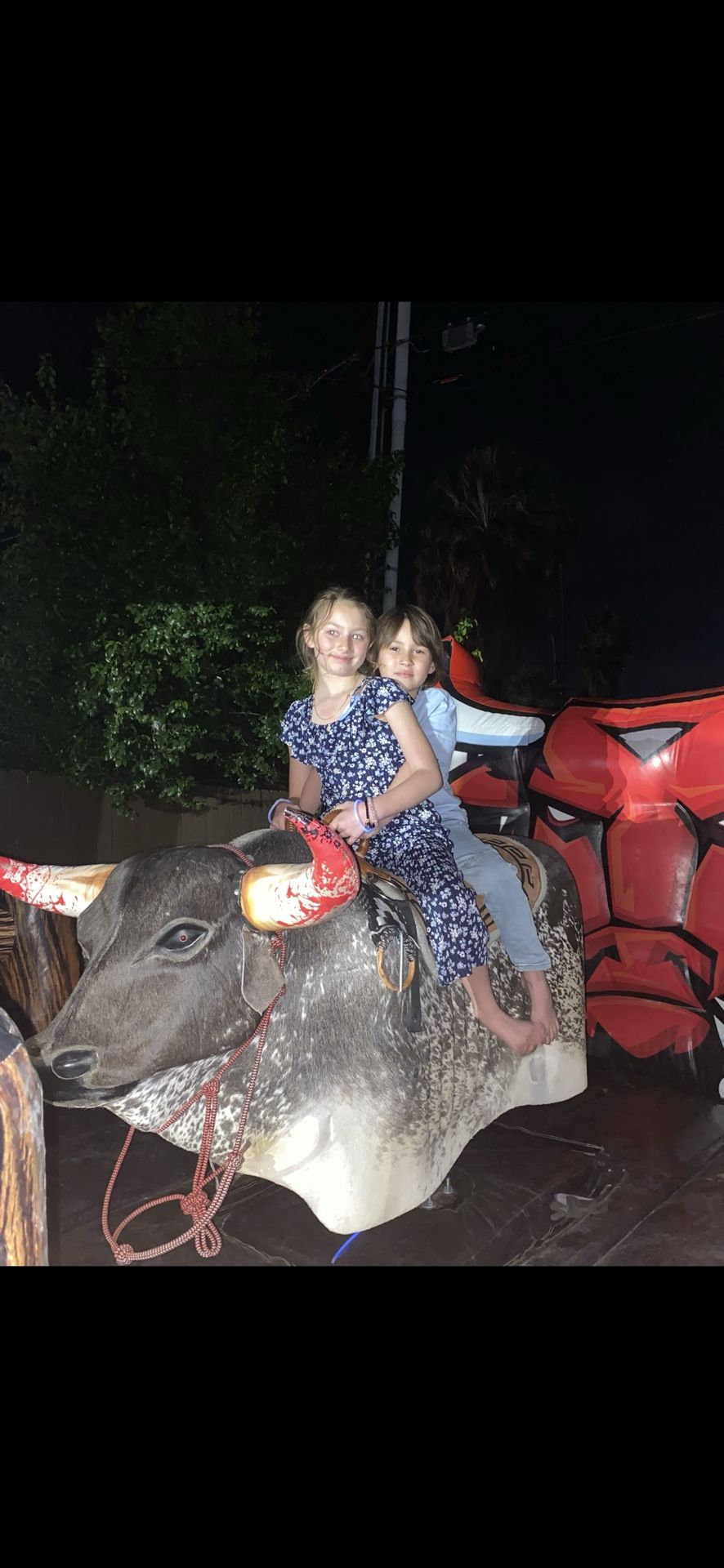 Mechanical Bull For Sale