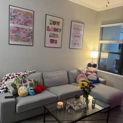 Grey Sectional couch 
