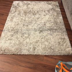 Area Rug 