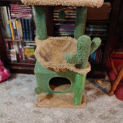 Cat Scratch Post 