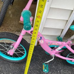 Girls Bike 