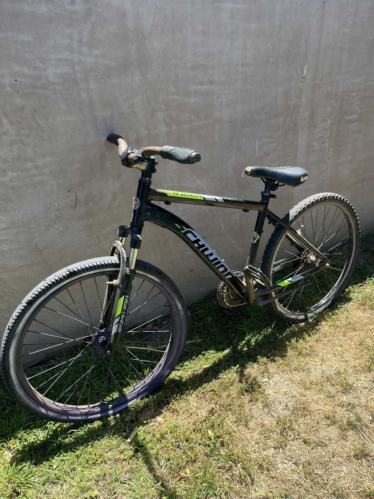 Schwinn Bike