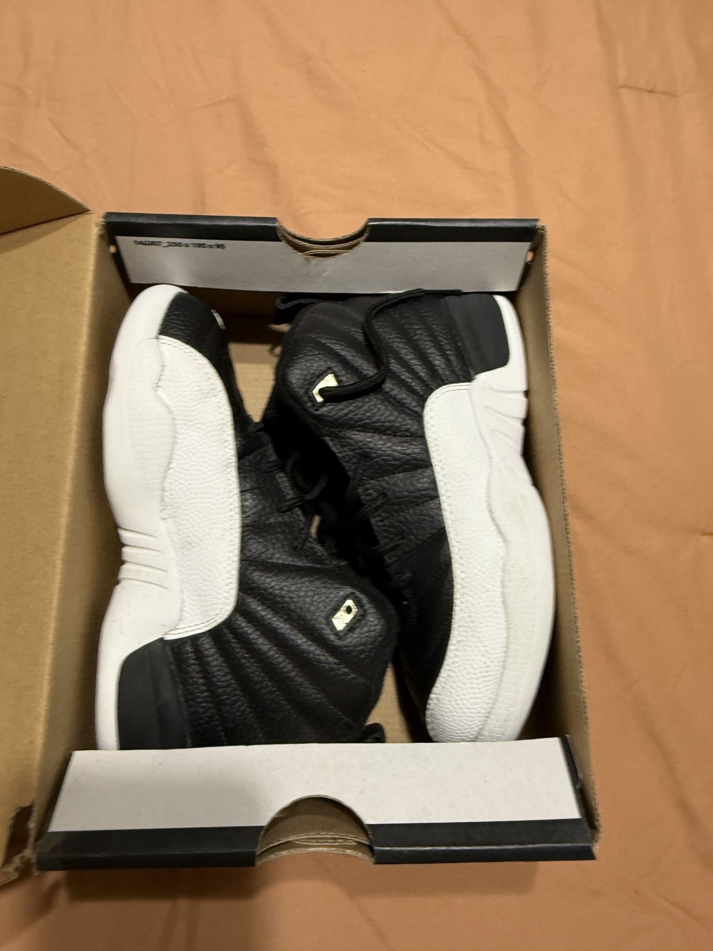 air jordan 12