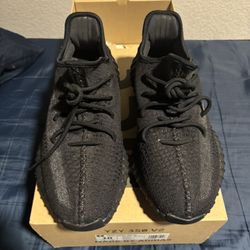 Yeezy 350 V2 - Onyx (10)