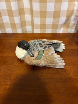 Mallard Duck