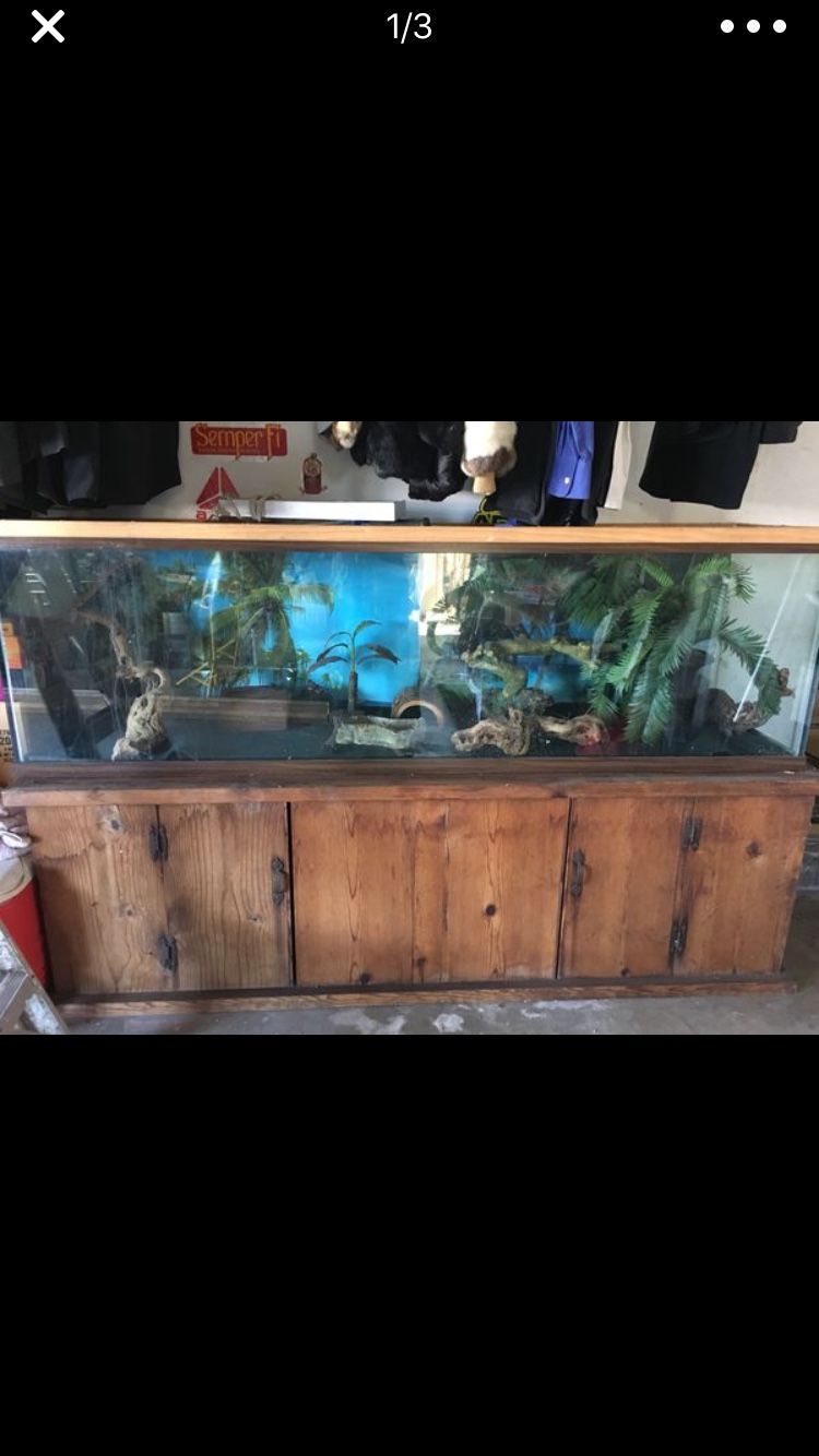100 gallon reptile tank for Sale in Huntington Beach, CA OfferUp